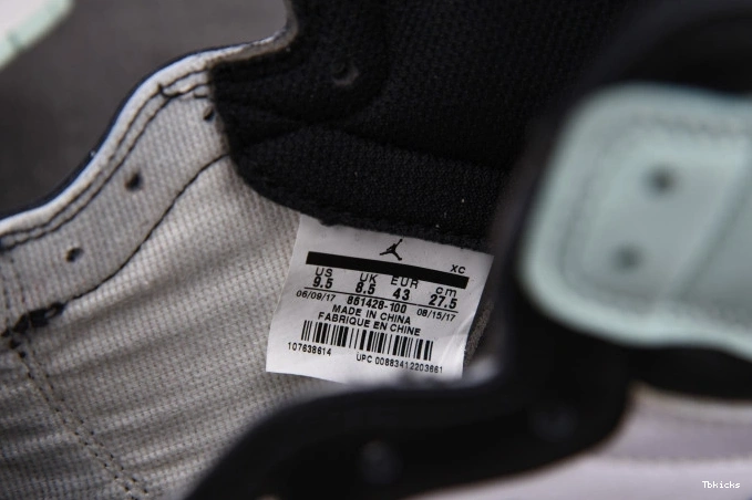 Reps TBK 861428-100 1 Igloo High Retro Jordan 0730